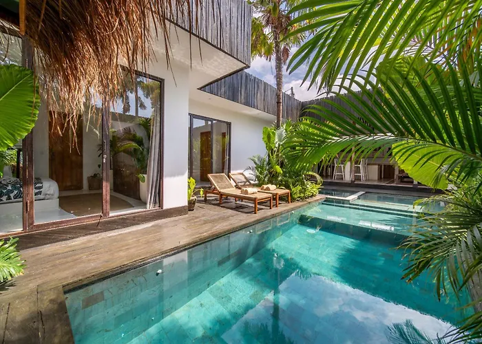 Yogi Surf Complex