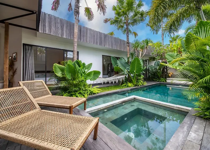 Yogi Surf Complex