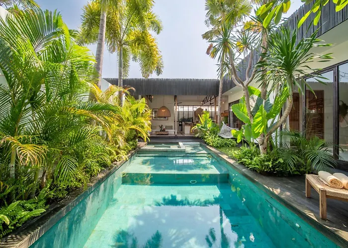 Yogi Surf Complex